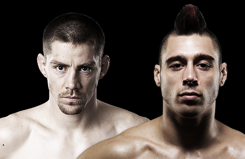 dan_hardy_500x325_ufc dan_hardy_500x325_ufc